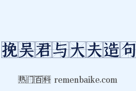 挽吴君与大夫造句是什么意思的图片